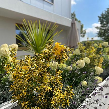 Neu 2023 Gemuetliches Apartment Im Eichsfeld Leinefelde-Worbis Eksteriør billede